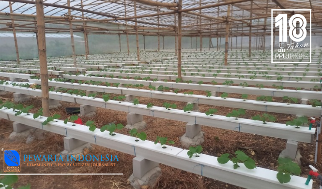 Media Group BiN_20251015_094907_0003