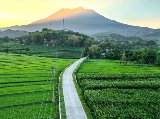 Screenshot_20251124-164630_1